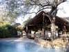 Chapungu Tented Camp - Pool 